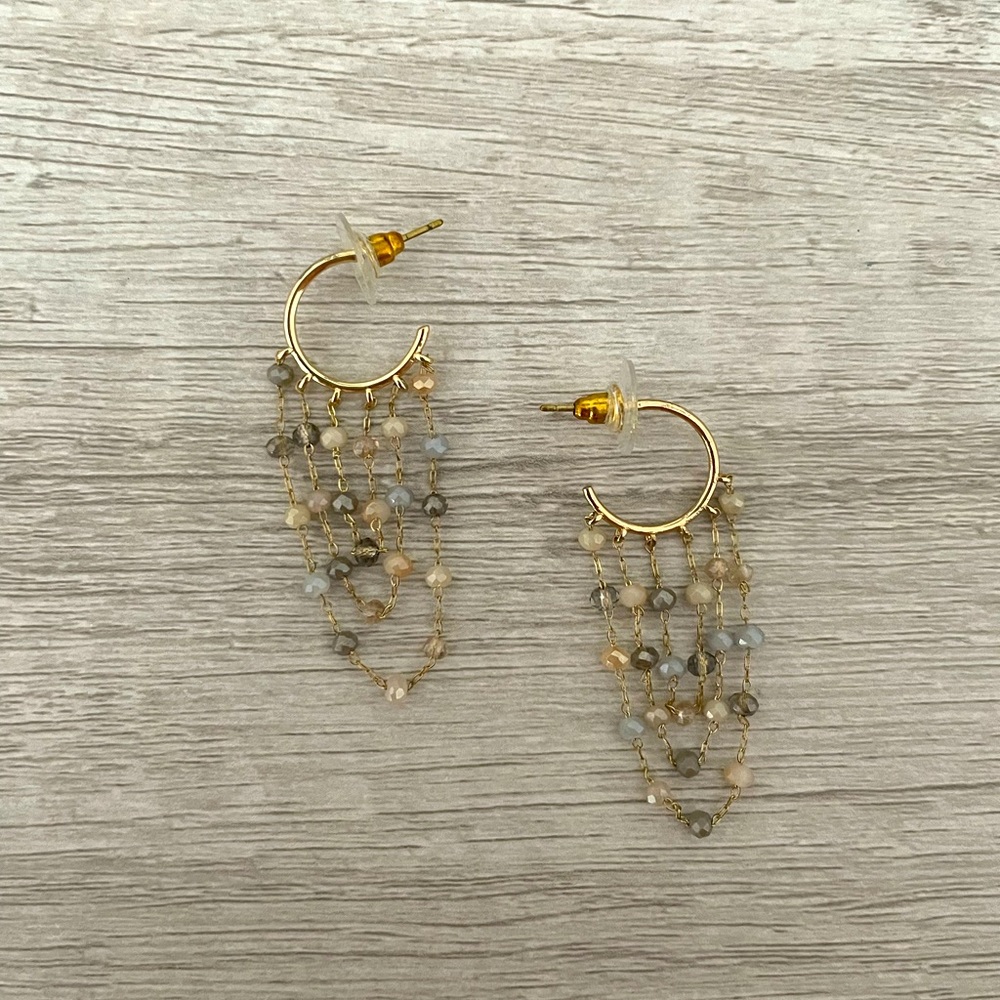 Altard State Hoop Earrings